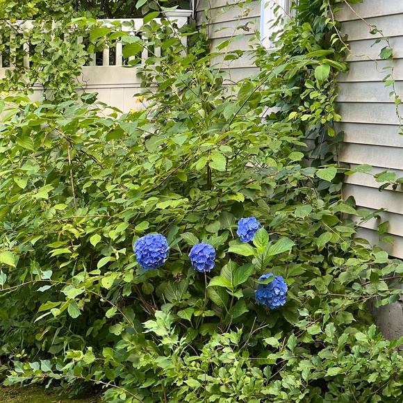 Meet your Posher, Jessa - Picture 1 of 1